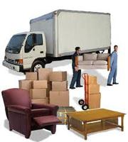 Get best Moving Services