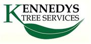 Kennedys    Tree    Services