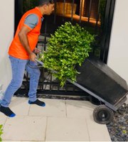 Professional Removalists in Prospect | JAC Removals